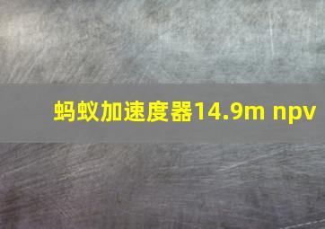 蚂蚁加速度器14.9m npv